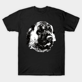 Anatolian Shepherd gift for Kangal Owners T-Shirt